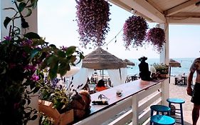 B&B Purple Italy